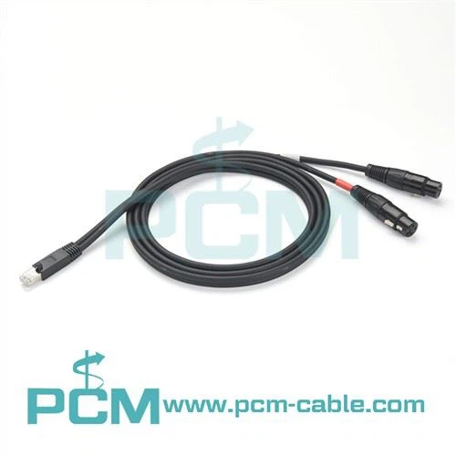 Cabo RJ45 macho para duplo XLR fêmea para AXIA